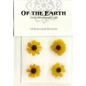 Sunflower 1" Real Pressed Flower Decorating Stickers - pack of 12 - Not Dyed