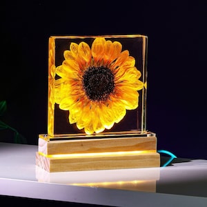 Real Sunflower Night Light, Sunflower Paperweight, Sunflower Decor Night light, Friend Gifts, Friend Ornament, mother's day gift for her