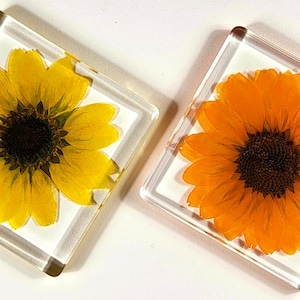 Real Sunflower in Clear Lucite Resin Paperweight 74mm Anniversary, Wedding, Engagement, Valentine Day Gift Display Décor Flower Specimen