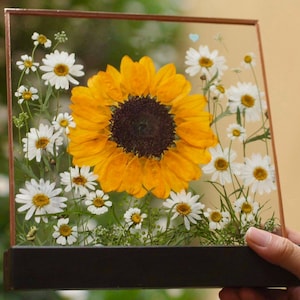 Pressed Sunflower and Daisies Glass Frame | Real Flower Art | Botanical Home Decor | Handmade Floral Gift | Nature-Inspired Wall Art
